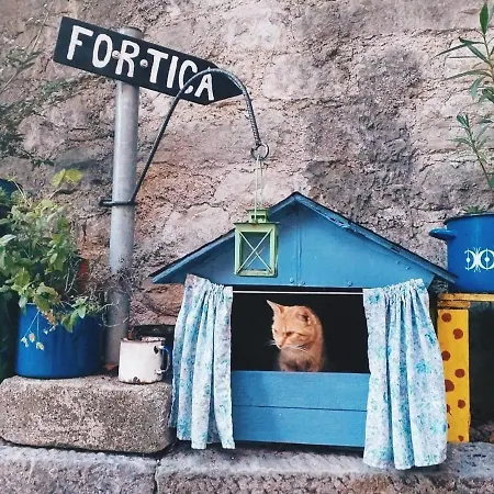 Istria Apartamento *