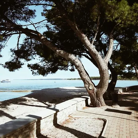 Apartment Istria
